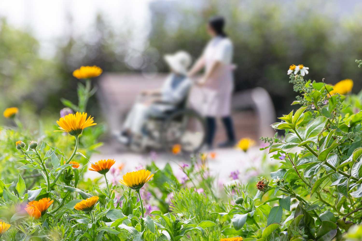 Lawn Maintenance Hampshire | Southern Grounds Services, Dorking